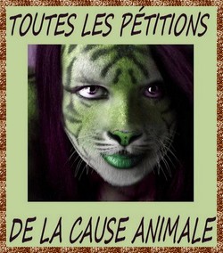 Pétitions Cause Animale