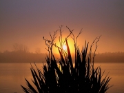 autres-lacs-et-rivieres-soustons-france-1212799948-1150943.jpg